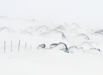 Icelandic landscape after a snow storm-Kees Bastmeijer  (1885)-klein