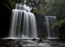 Tasmanië-2019-Kees-Bastmeijer-6238-small