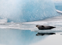 jokulsarlon-iceland-kees-bastmeijer-2012